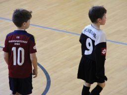 mini-IMG_5509